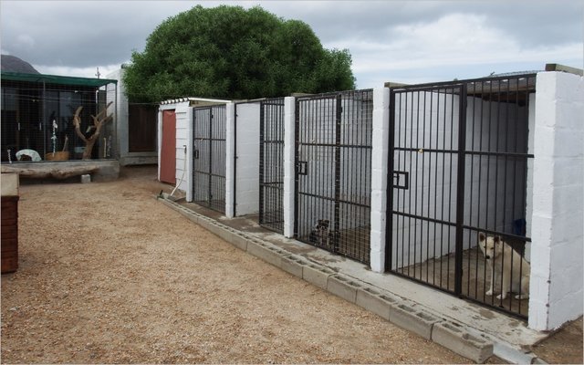 Gansbaai Naderende BARC Gholfdag_1